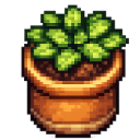 planta